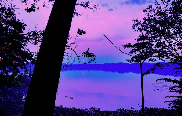Sun, Water, Sunrise, Dawn, Morning, Lake, Trees, Reflection