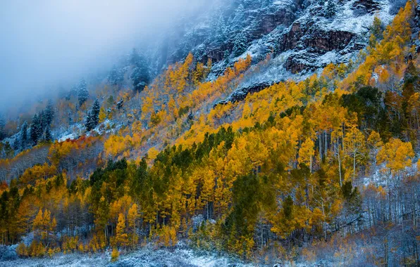 Картинка осень, снег, деревья, горы, склон