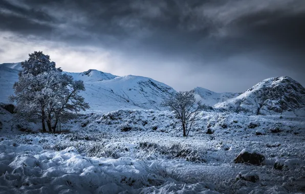 Зима, деревья, горы, долина, Шотландия, Scotland, Highland, Хайленд