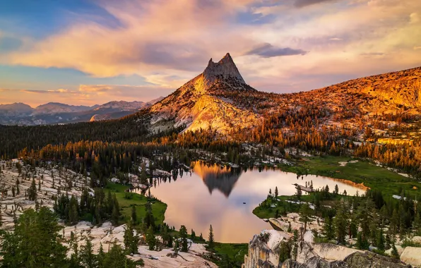 Картинка лес, горы, вершины, высота, освещение