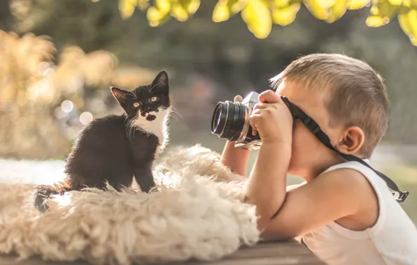 Мальчик, фотоаппарат, котёнок, фотосессия