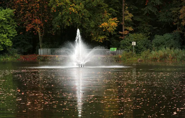 Картинка осень, листья, отражения, деревья, природа, пруд, colors, фонтан