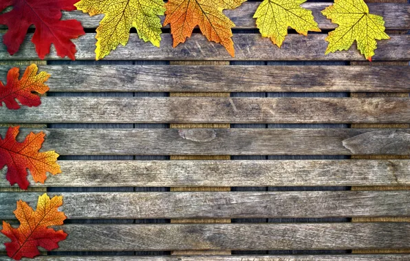 Картинка осенние, фон, leaves, autumn, листья, дерево, wood, colorful