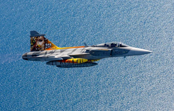 Картинка полёт, многоцелевой истребитель, ВВС Швеции, Saab JAS 39C Gripen