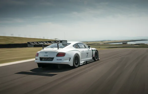 Bentley, lake, race, racing, continental gt3