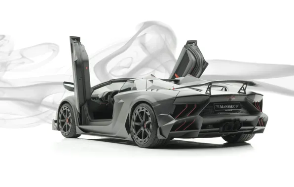Roadster, Lamborghini, суперкар, Aventador, Mansory, 2019, Carbonado Evo