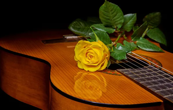 Картинка стиль, роза, гитара, жёлтая роза