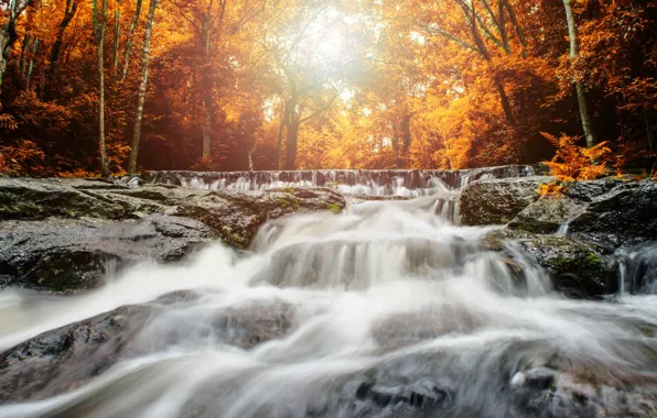 Осень, лес, пейзаж, река, скалы, водопад, forest, river