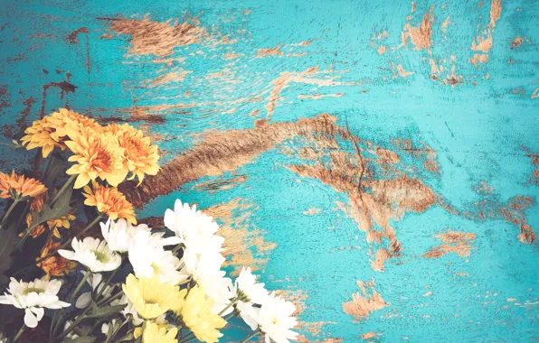 Цветы, букет, summer, vintage, flower, хризантемы, blue, spring