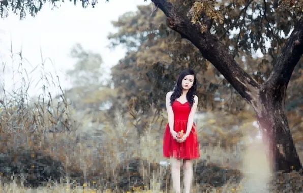 Девушка, фон, азиатка