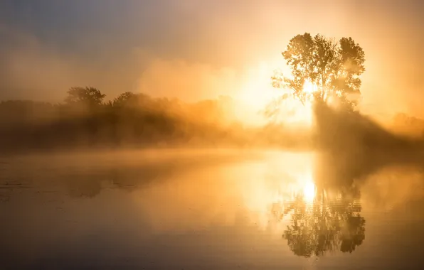 Картинка природа, озеро, утро, дымка