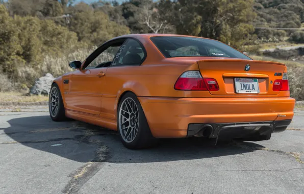 BMW, Orange, E46, Rear View