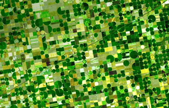 Картинка поля, США, штат Канзас, фото NASA