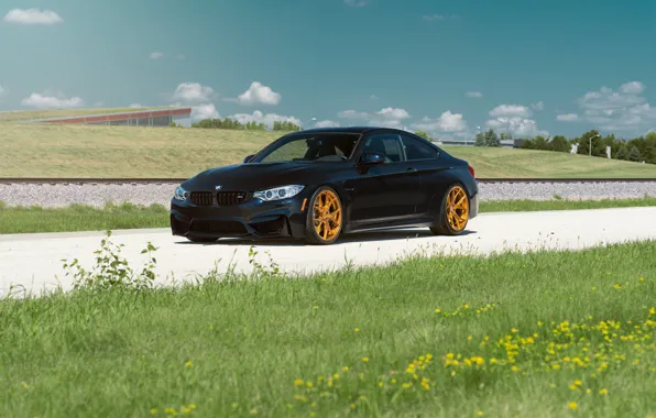 Картинка BMW, Car, Grass, Front, Black, Day, Summer, Azurite