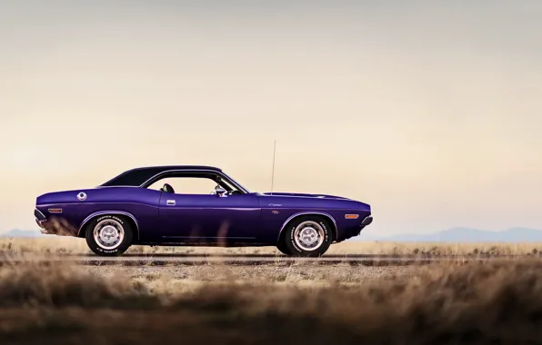 Dodge Challenger, muscle car, 1970, lunchbox photoworks