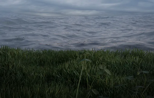 Grass, storm, sky, nature, atmosphere