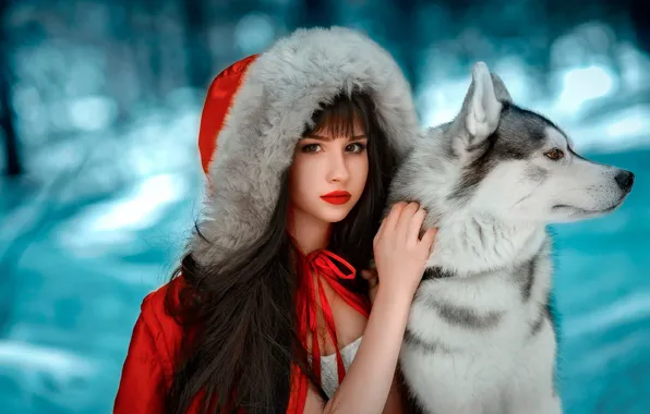Картинка зима, лес, взгляд, девушка, снег, фон, друг, собака