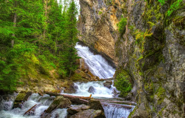 Лес, деревья, камни, скалы, водопад, HDR, Вашингтон, США