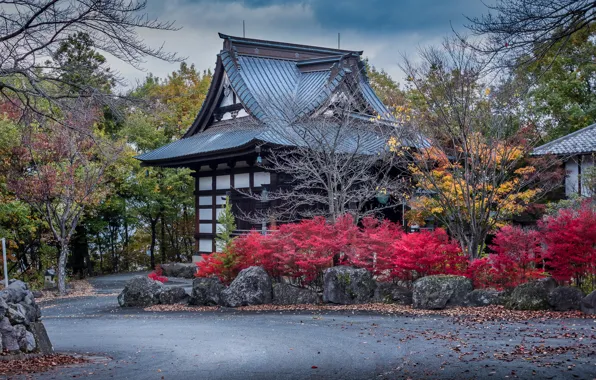 Картинка дорога, осень, деревья, дизайн, камни, дома, Япония, кусты