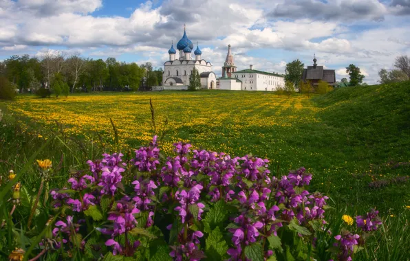 Картинка цветы, поле, церковь