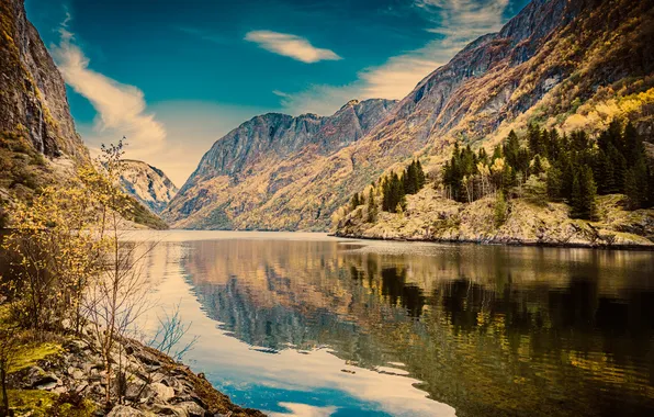 Картинка лес, горы, природа, озеро, Норвегия, Sogn og Fjordane Fylke, Gudvangen