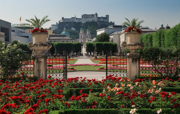 Цветы, Австрия, сад, крепость, клумбы, Austria, Salzburg, Зальцбург