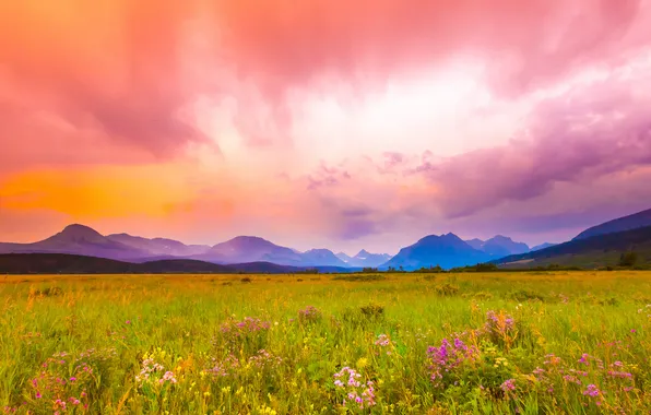 Картинка поле, трава, облака, цветы, горы, горизонт, холм, розовый небо