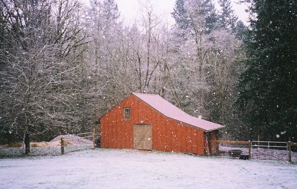 Trees, winter, branches, farm, shed, snowing