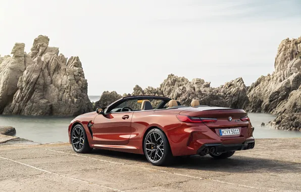 Берег, BMW, кабриолет, задом, 2019, BMW M8, M8, F91