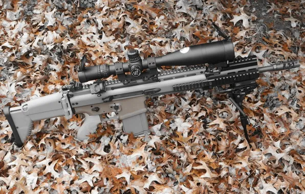 Оружие, автомат, оптика, FN SCAR 17S
