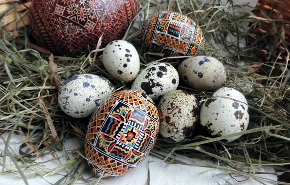 Яйца, пасха, сено