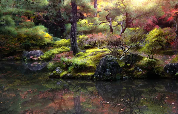 Картинка осень, деревья, пейзаж, природа, пруд, парк, камни, Япония