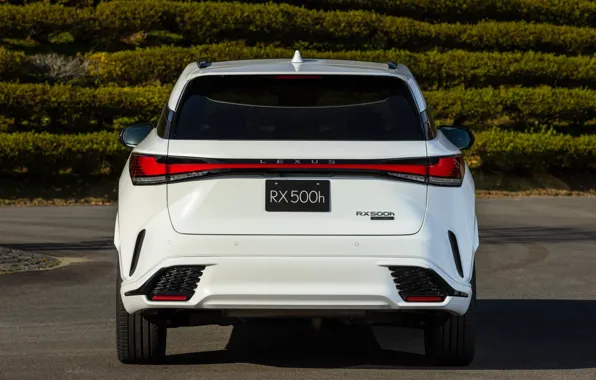 Lexus, Лексус, вид сзади, 2022, Lexus RX 500h