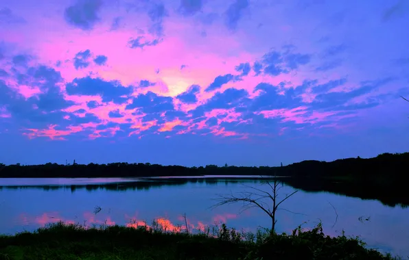 Sky, Grass, Water, Sunrise, Dawn, Morning, Lake, Trees