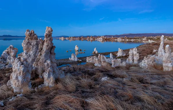 Озеро, Калифорния, США, Mono Lake