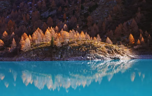 Картинка nature, autumn, body, blue water