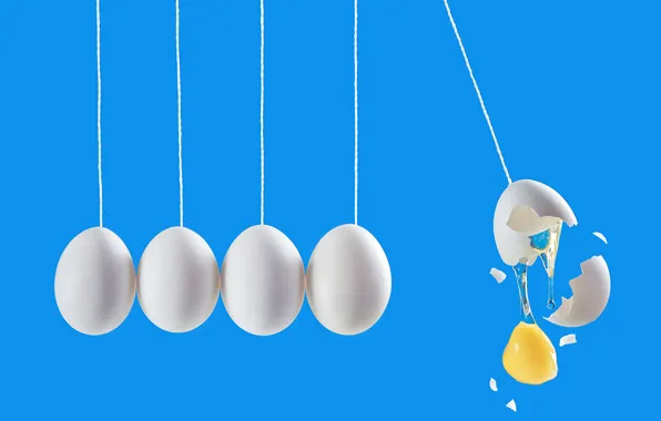 Яйца, eggs, Dina Belenko, Newton's cradle