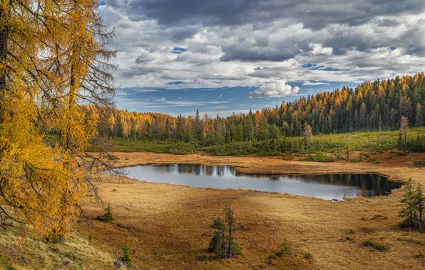 Осень, лес, облака, деревья, озеро, берег, вид, даль