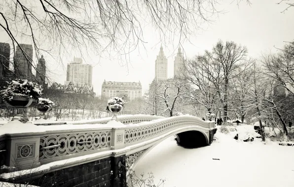 Картинка зима, снег, деревья, природа, город, Нью-Йорк, USA, США