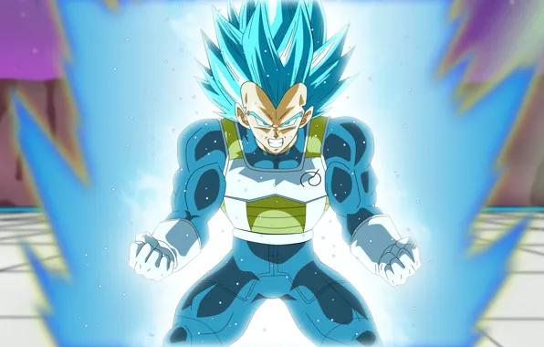 DBS, game, anime, asian, manga, Dragon Ball, Dragon Ball Super, japonese