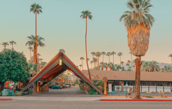 Дорога, пальмы, транспорт, строения, ONCE UPON A TIME IN CALIFORNIA