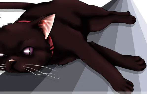 Хищник, ошейник, зверь, черный кот, Darker than Black, Mao, следит, Чернее чёрного