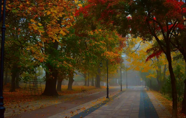 Картинка Туман, Осень, Деревья, Парк, Fall, Park, Autumn