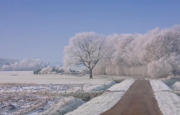 Картинка зима, дорога, снег, деревья, пейзаж, природа, обои, wallpapers