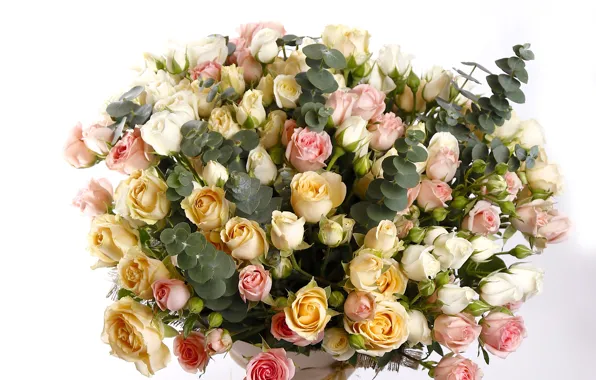 Розы, букет, бутоны, шикарный, Bouquets