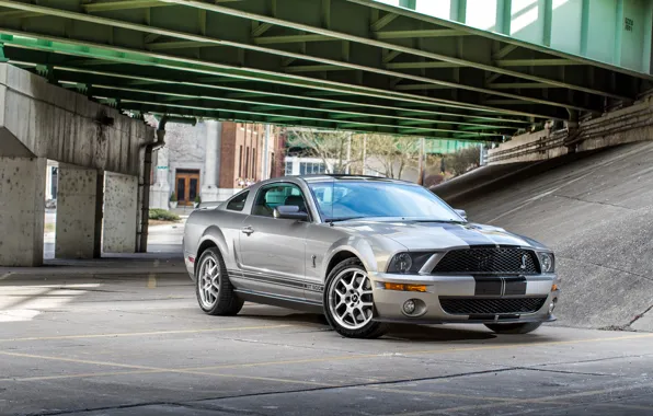 Картинка Mustang, Ford, Shelby, GT500, bridge, Cobra