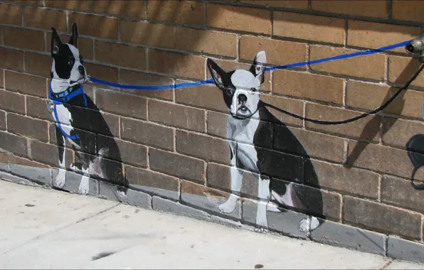Wall, graffiti, two, dogs, other, Oops