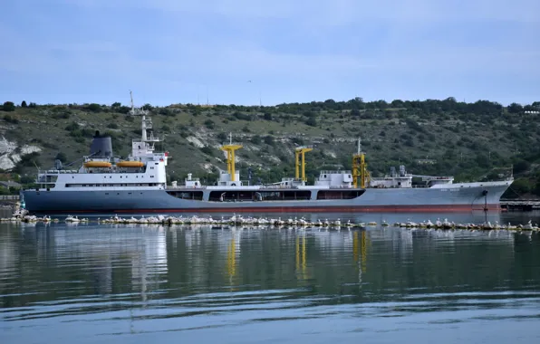 Чайки, танкер, севастополь