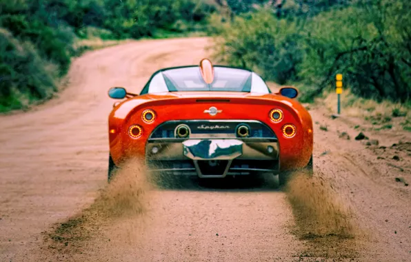 Картинка Spyker, rear view, C8, Spyker C8 Aileron