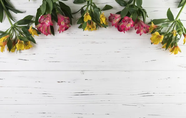 Цветы, colorful, wood, flowers, beautiful, spring, lily, multicolored